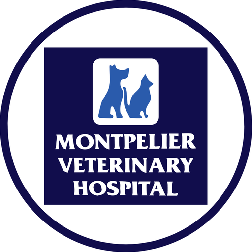 Veterinary Hospital logo