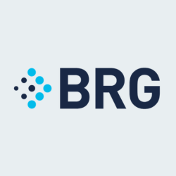 Berkley Research Group logo