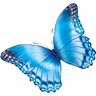 Nationwide Children's Hospital logo