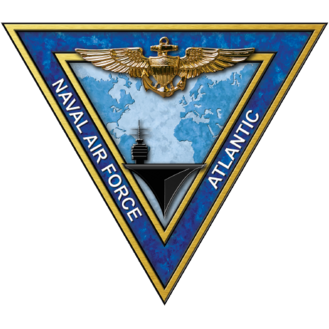 Commander Naval Air Forces logo