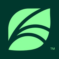 Spring Health logo